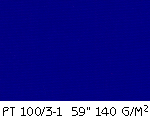 PT 100_3-1.gif (10832 bytes)